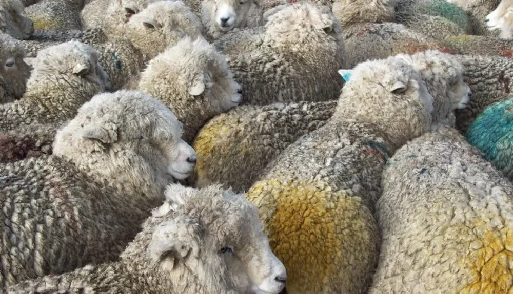 Unos 300 productores se beneficiaron