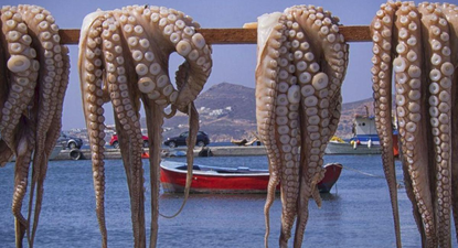 El Observador | image-10