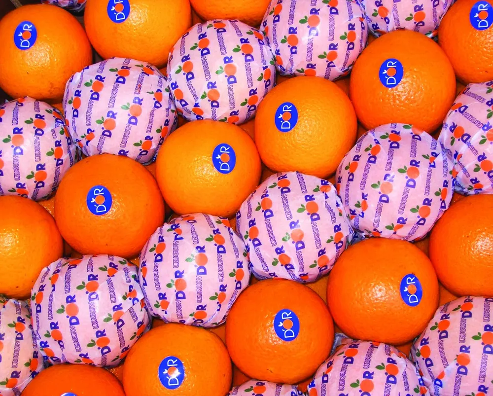Los cítricos ingresaron a EEUU después de dos décadas de negociaciones