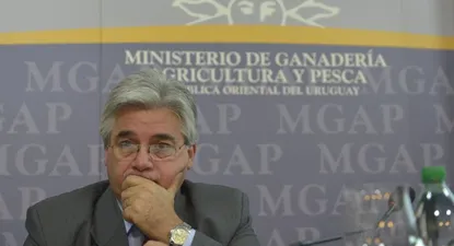 El Observador | 0001541311.webp