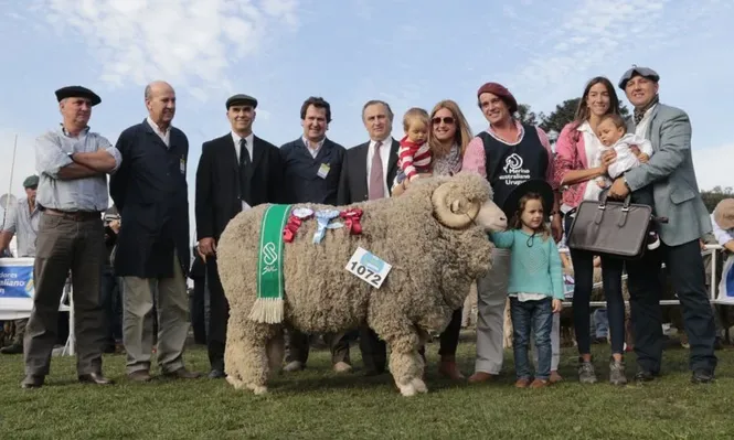 El Mejor Animal de la Exposición Merino Australiano, expuesto por Enrique Rodríguez Grasso
