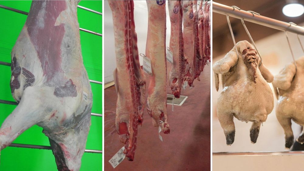 Faena de vacunos, lanares y pollos.