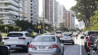 De estacionamientos para shows al desembarco en Punta del Este: los planes de la app que conecta propietarios con usuarios de garajes