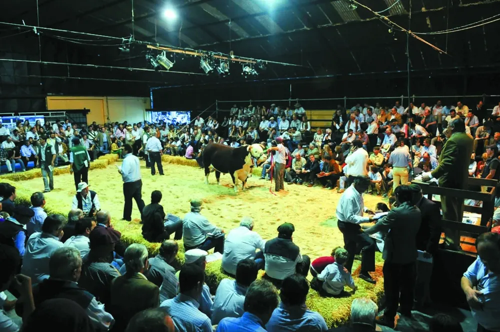 La Expo Prado genera expectativa por el precio de los reproductores