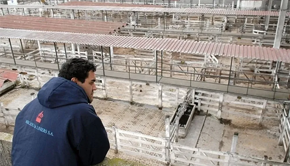 Liniers es el corazón del comercio de ganado