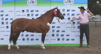 El Observador | 0000044299.webp