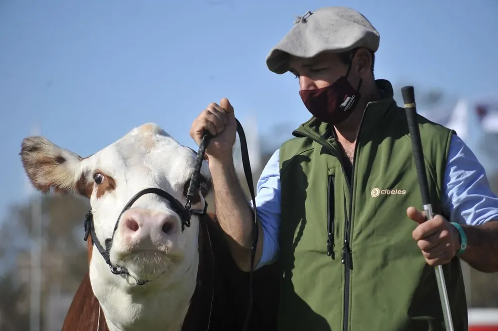 Habrá algo más de 2.000 animales en la Expo Prado 2021.