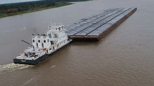 Tránsitos en Nueva Palmira