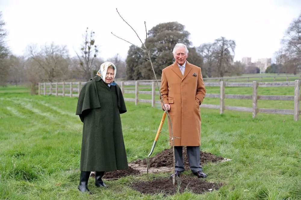 El primer árbol que Carlos plantó para esta iniciativa fue un roble Verdún, especie que se plantó por primera vez en el Reino Unido después de la Primera Guerra Mundial como memorial de la guerra