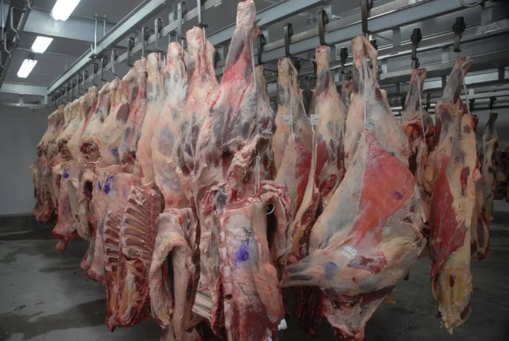 La carne uruguaya tiene un lugar relevante en China.