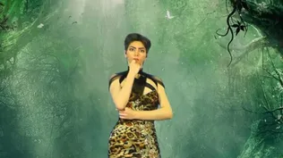 Odio a YouTube: los motivos de Nasim Aghdam para atacar la sede de la empresa