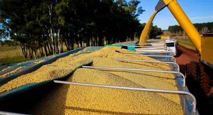 Exportaciones aumentaron 6,7% en agosto por madera y soja