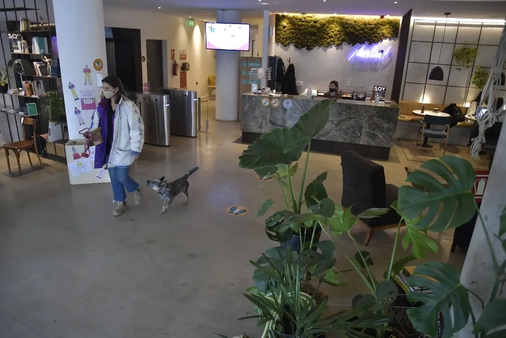 Para el 2019 Sinergia ya tenía todos los espacios que tiene hoy.