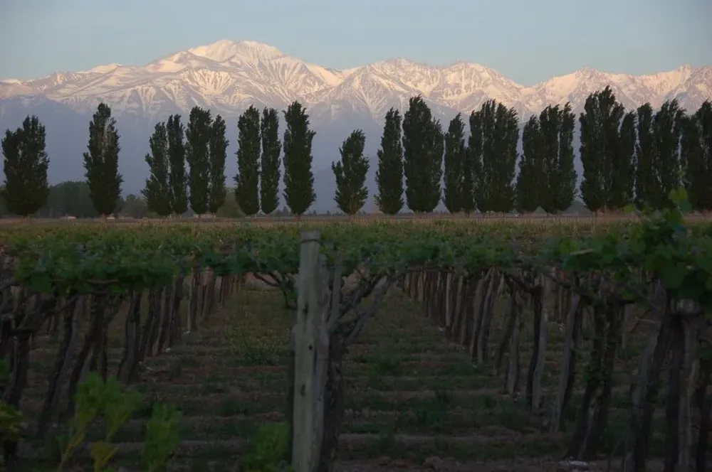 Mendoza sufre de una alta gama de peligros naturales, incluidos los terremotos.