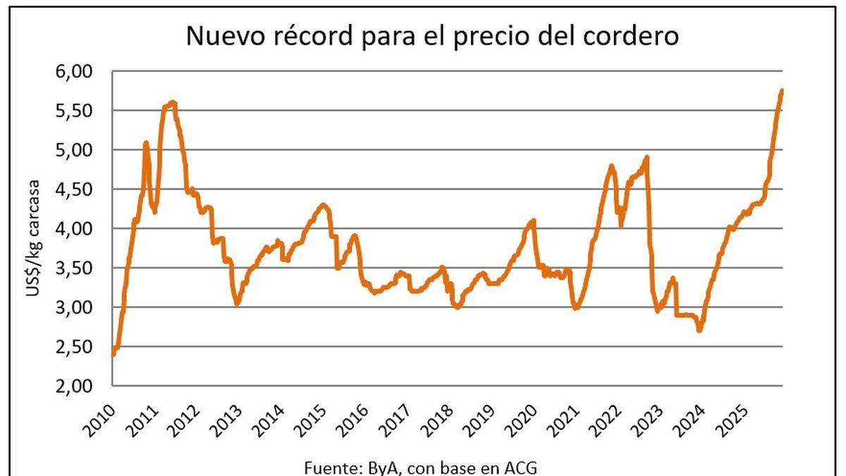 Precios récord para el cordero y en plena zafra aumenta la faena de ovinos