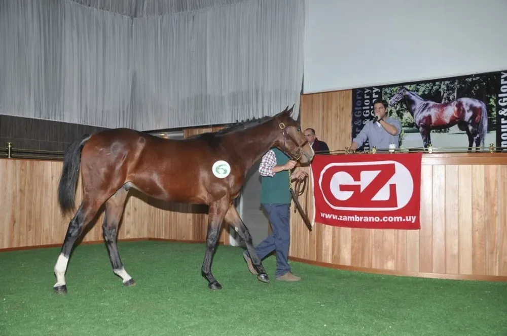 El remate se realizó este miércoles en el Tattersall Gavroche