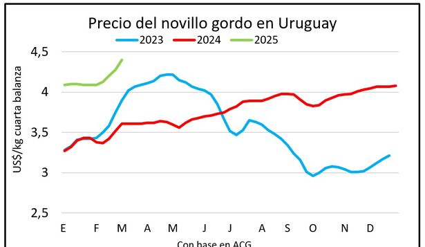 Ganado gordo: precios tonificados en Uruguay.