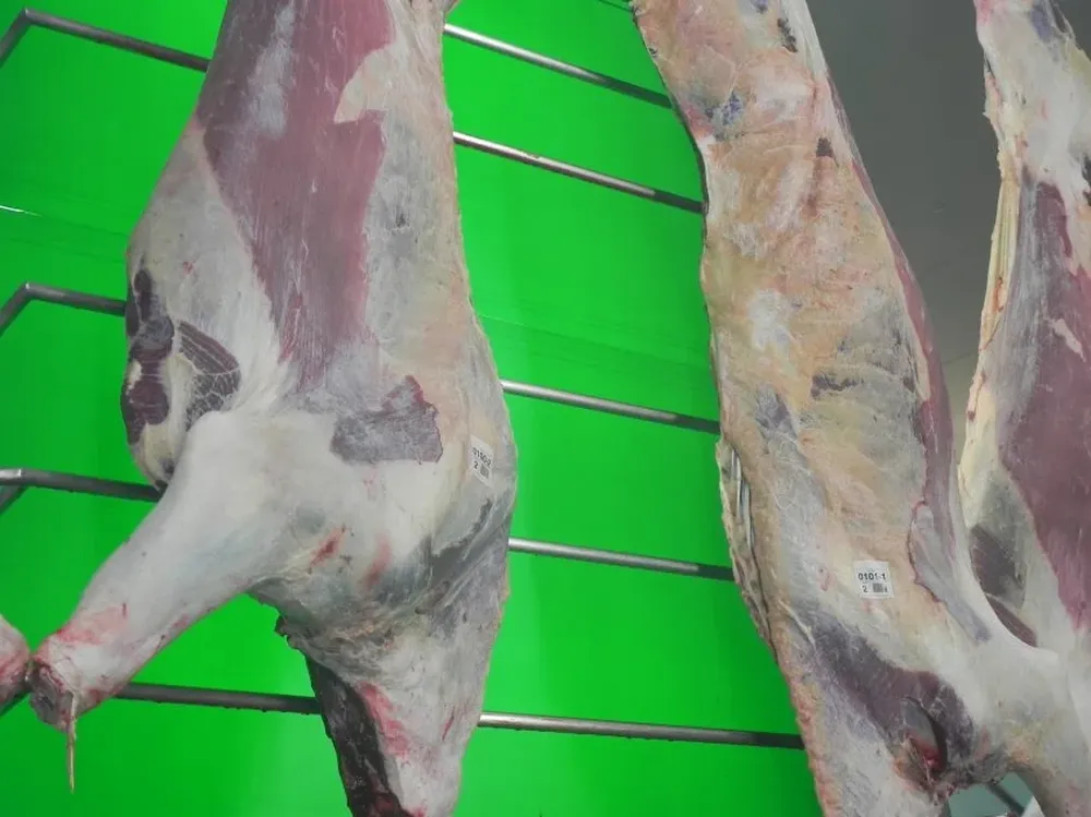 La faena de vacunos en 2017 es superior a la del año pasado.