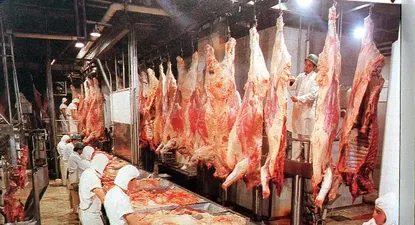 Movida en los frigoríficos brasileños