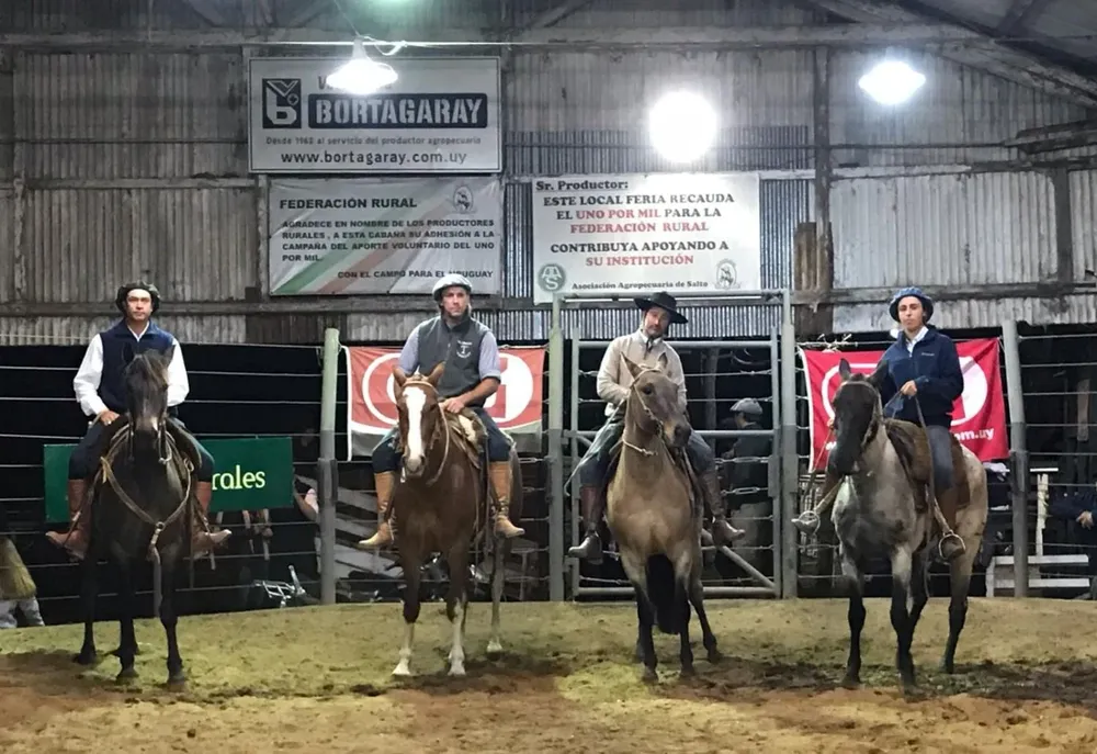 Las yeguas de andar promediaron US$ 2.381.