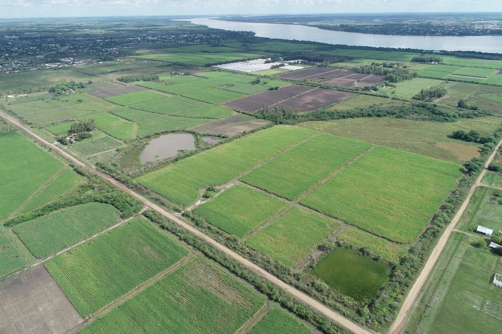 WhatsApp Image 2025-12-12 at 15.57.50