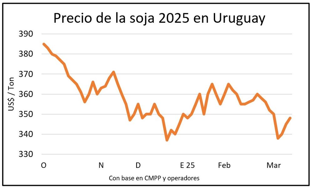Mercado de granos, Blasina y Asociados.