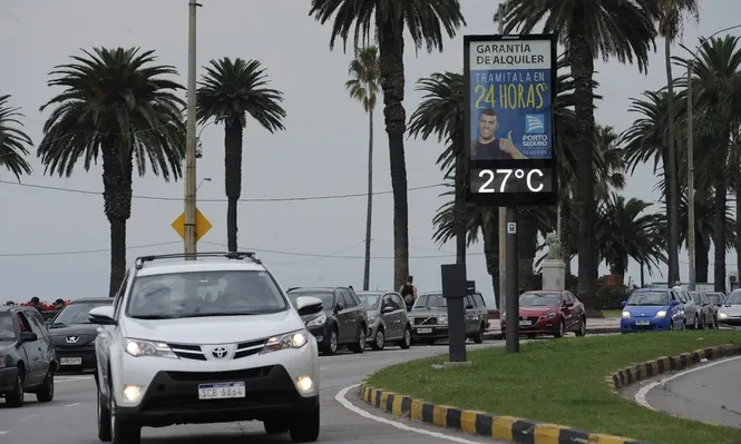 El mercado automotor cerró el primer semestre con un crecimiento de 2,5%.