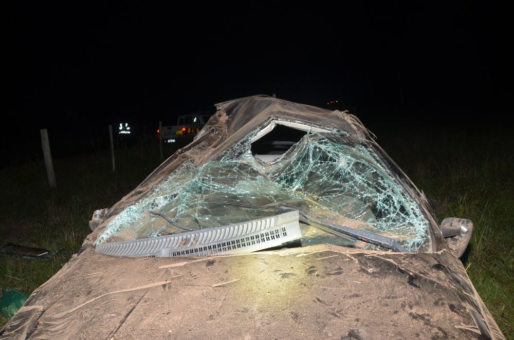 WhatsApp Image 2026-01-14 at 12.13.13