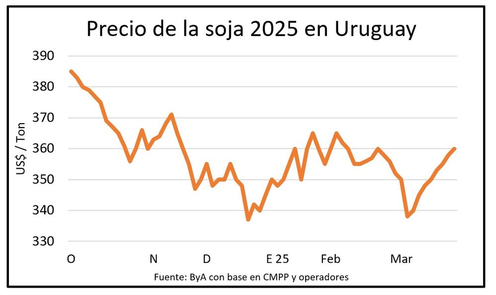 Soja, el cultivo más extendido en Uruguay.