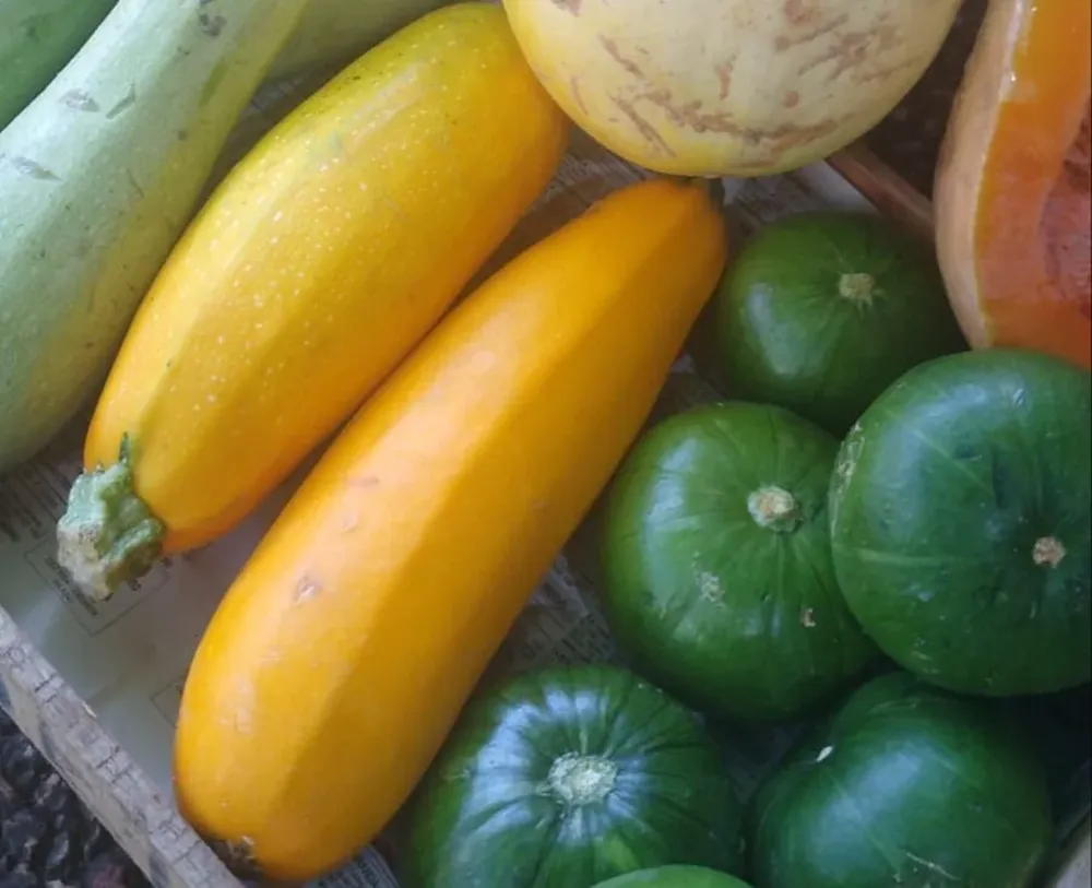 Puesto de frutas y verduras.