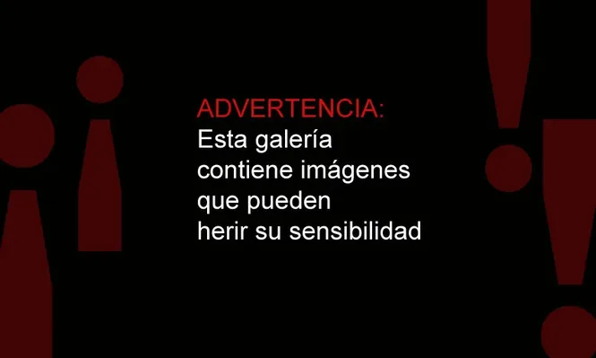 Ataques a dos ómnibus en los accesos a Montevideo