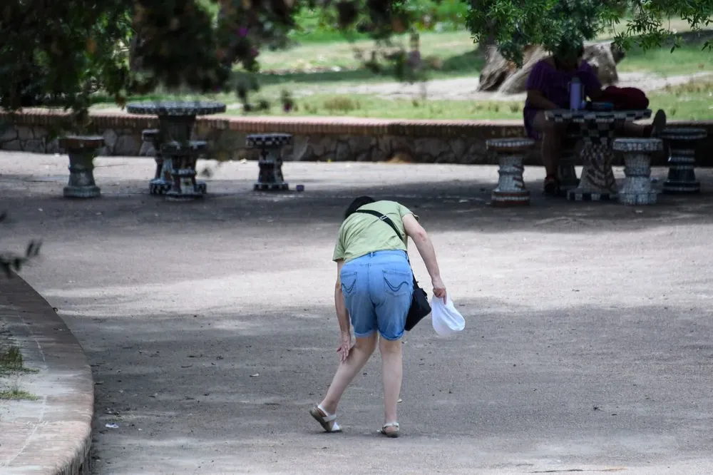 Los mosquitos están particularmente presentes en los parques