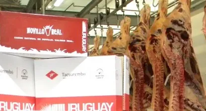 El Observador | 0001426288.webp