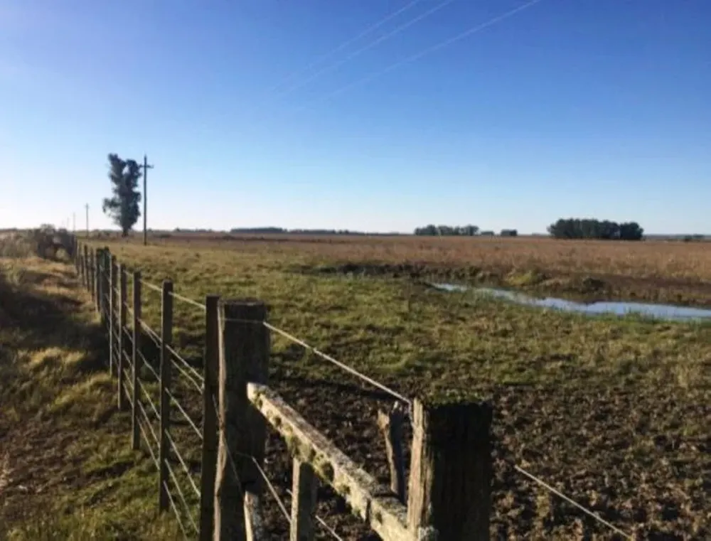 Uno de los padrones que Tania Martínez presentará en remate