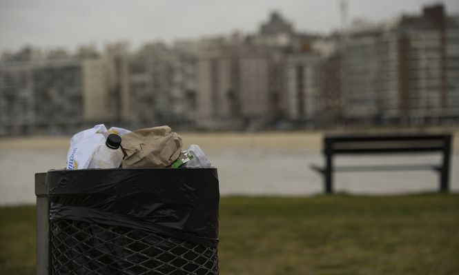 Intendencia instalará 250 papeleras  en Montevideo desde agosto y repartirá nuevos contenedores desde setiembre: mirá en qué zonas