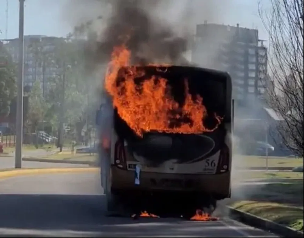 Imágenes del ómnibus de Micro Ltda. prendido fuego en medio de Maldonado