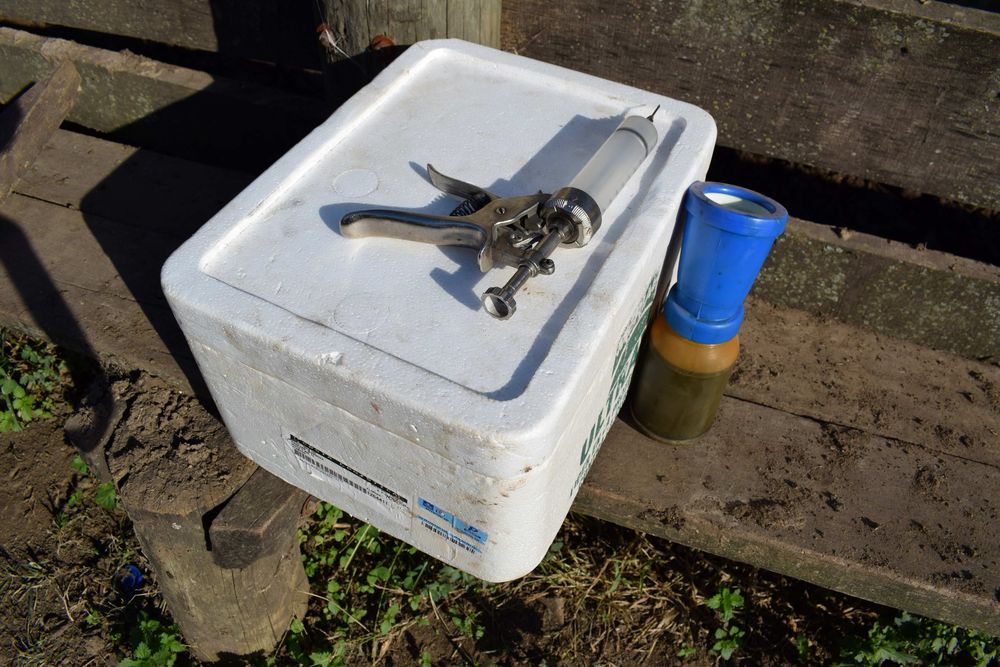 Frigoríficos: piden a sus proveedores de animales utilizar solo productos veterinarios autorizados y esperar el tiempo fijado para remitirlos a faena.