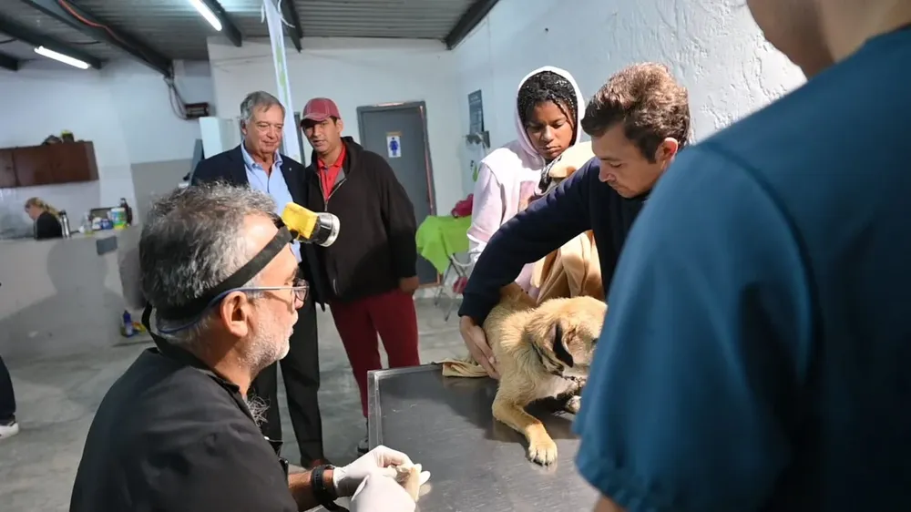 El INBA fue creado hace un año.