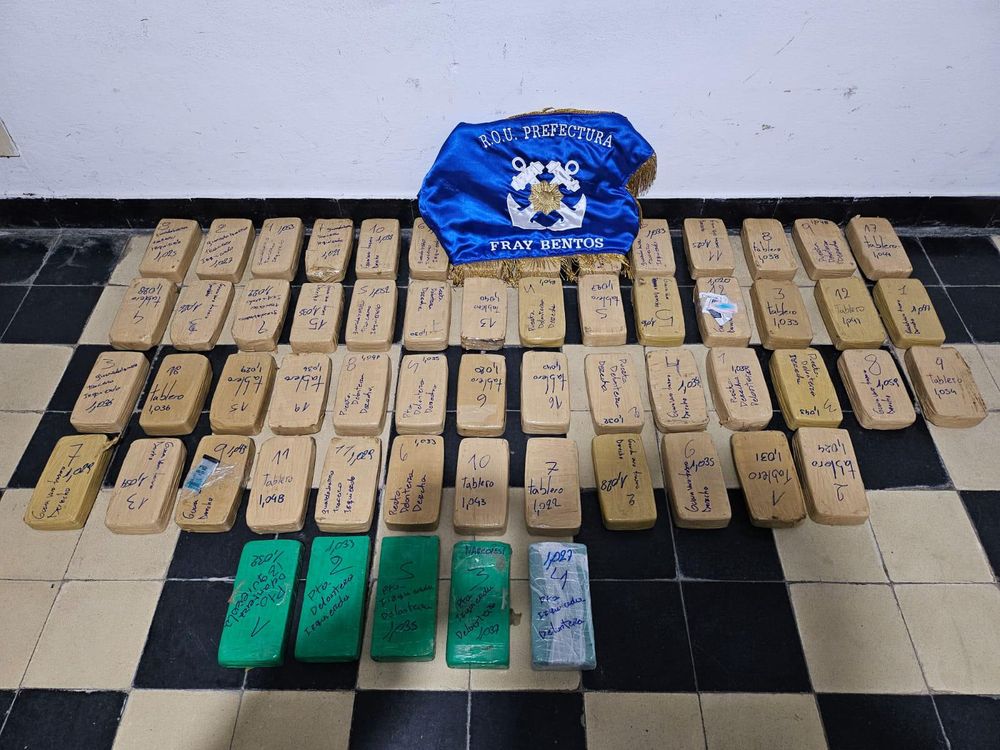 WhatsApp Image 2024-08-17 at 10.51.02.jpeg