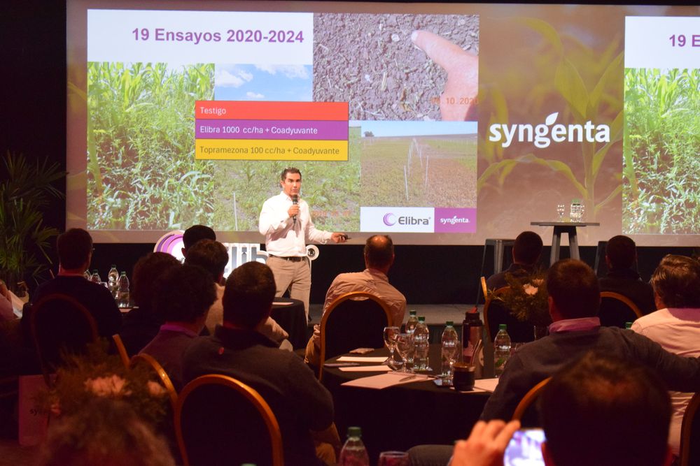 Ing. Agr. Nicol&aacute;s Faggi, Responsable de Investigaci&oacute;n & Desarrollo de Syngenta Uruguay.