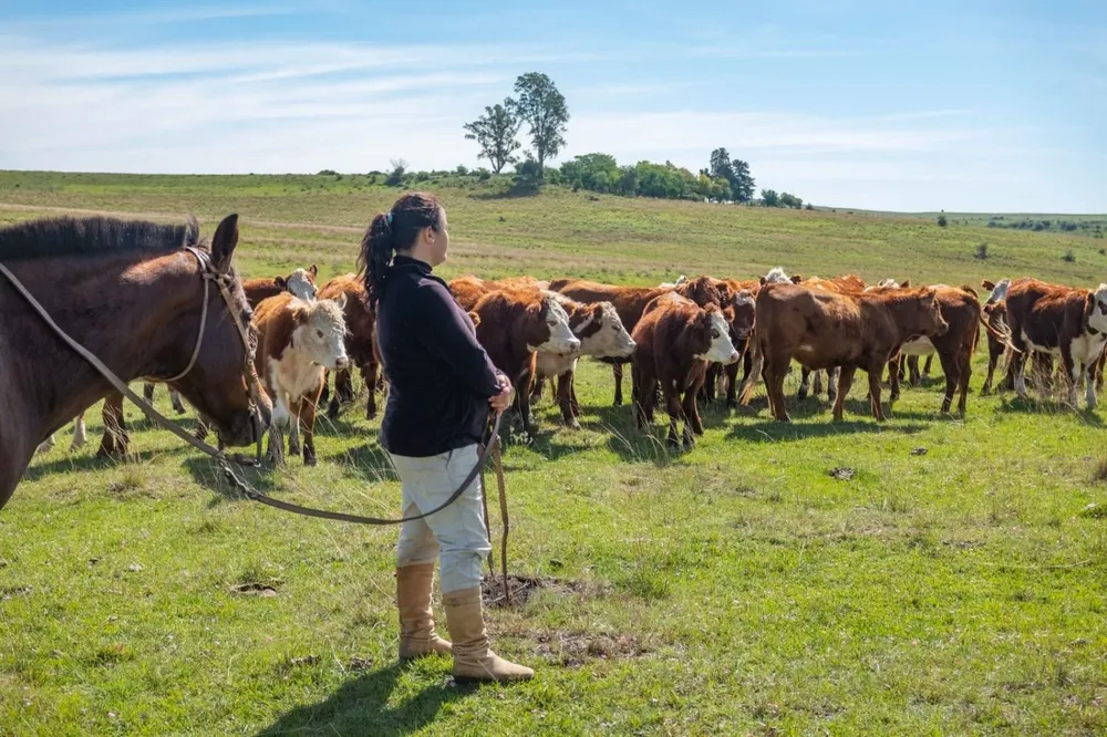 Ganadería en Uruguay