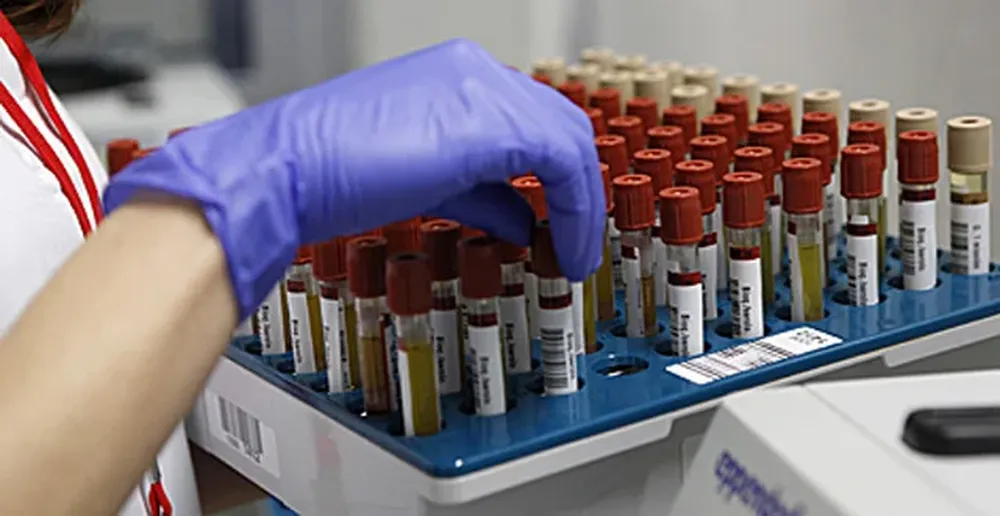 Combinados y aún en bajas dosis, los químicos pueden generar déficit de atención y distintos tipos de cáncer. Los seres humanos se exponen a estos químicos incluso antes de nacer