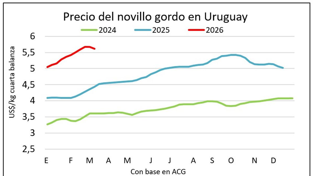 Fuerte ajuste en precios propuestos por el ganado gordo y se tranca el mercado