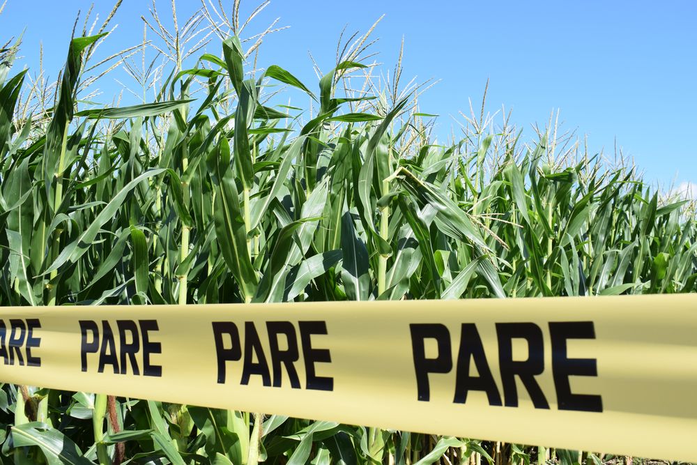 El Agro espera cambios para que el atraso cambiario quede resuelto.