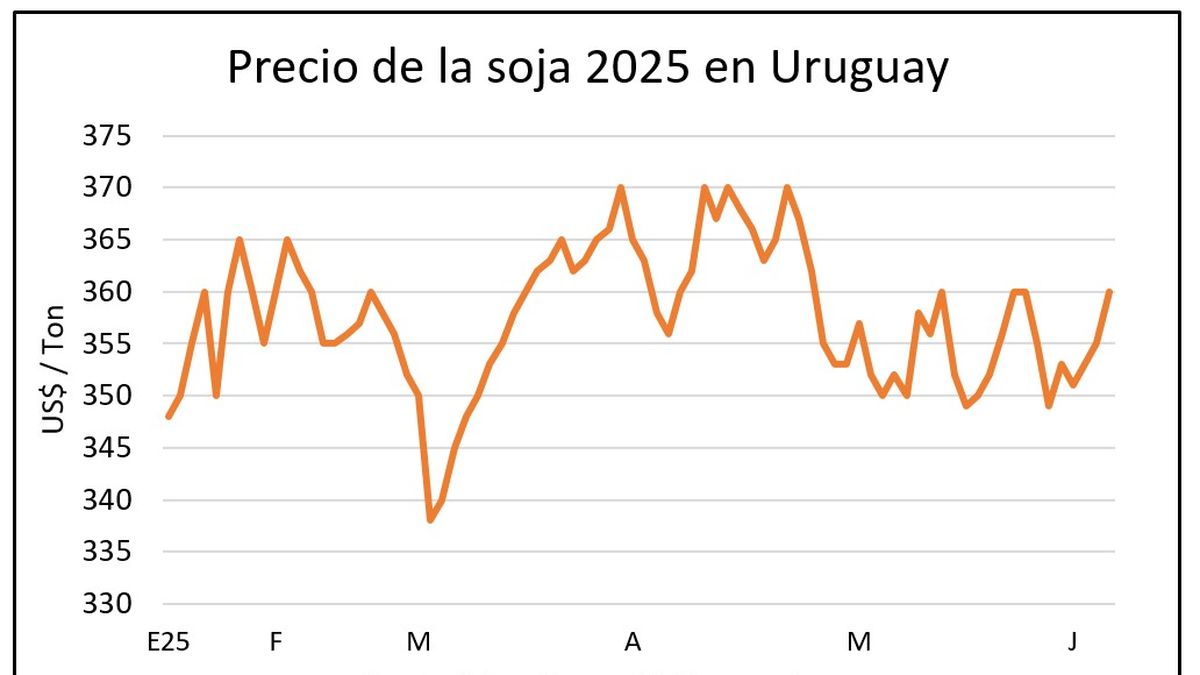 Una semana favorable a los aceites