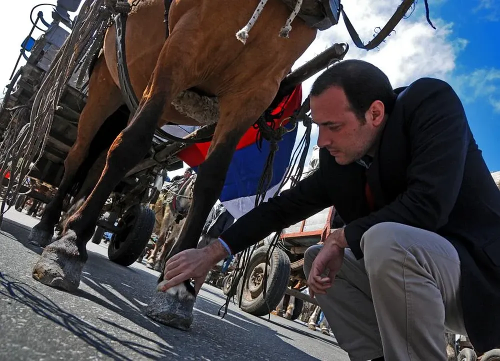 El diputado colorado, Fernando Amado, revisa los cascos de un caballo el lunes 10 en la marcha de hurgadores y de residuos.