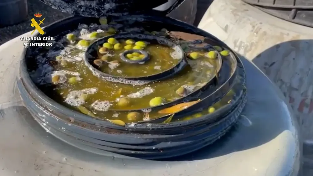 Cae una banda que robó 15 toneladas de aceitunas.