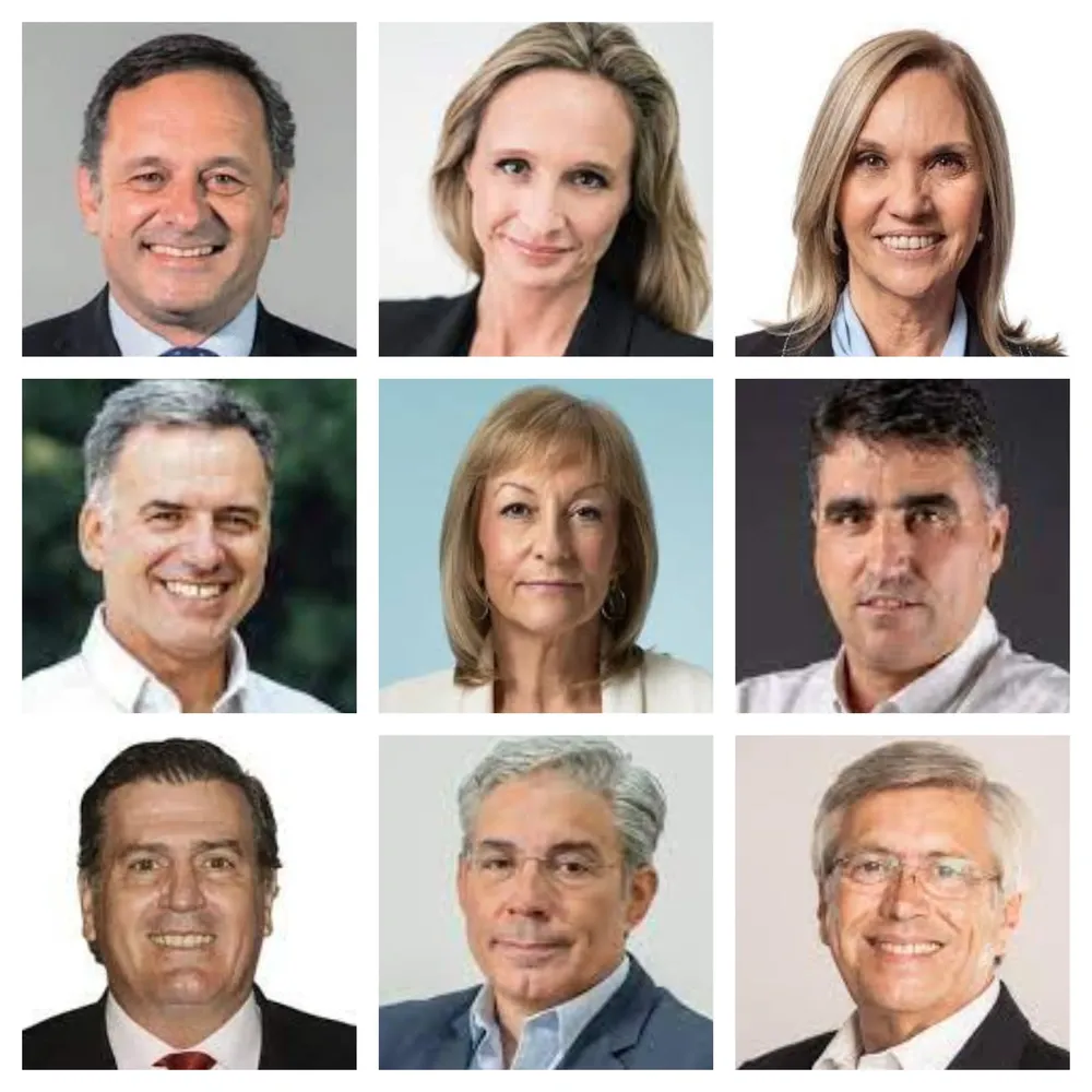 Parte del menú de precandidatos.