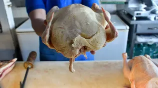 Venta de carne aviar en carnicerías.