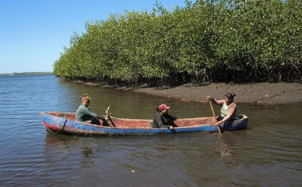 En varias horas las mujeres juntan una pequeña pila cada una, algunas para consumo propio, pero la mayoría para vender